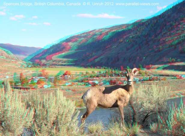 2012-08-04-1822-sam_0076