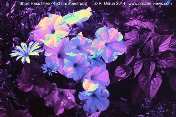 2014-07-18-1638-img_1261-2