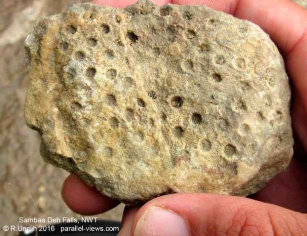 2016 08 24 17;43 FS _MG_5180.jpg