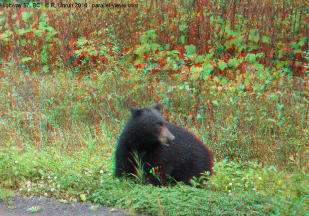 2016-08-29-1420-r-img_5727