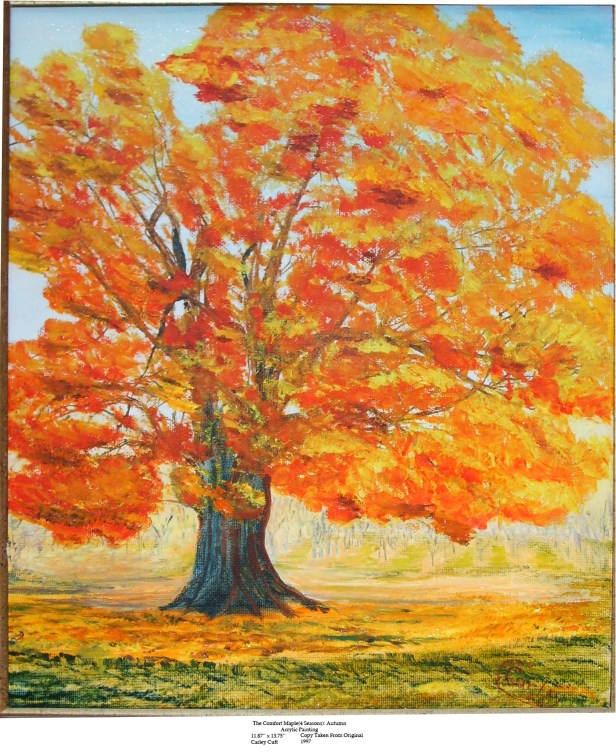 comfort-maple-autumn