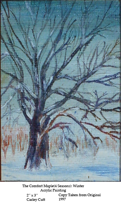 comfort-maple-winter