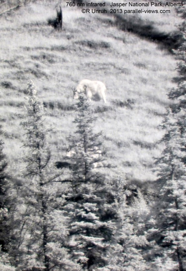 2013-06-29-1809-p1020504