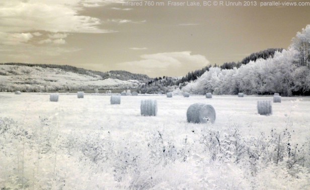 2013 08 12 1349 P1020628