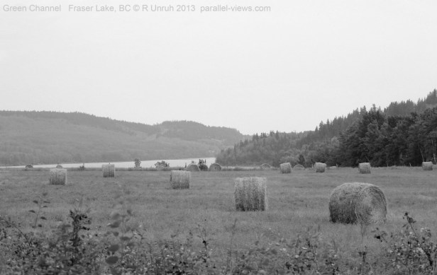 2013 08 12 1355 G IMG_4809