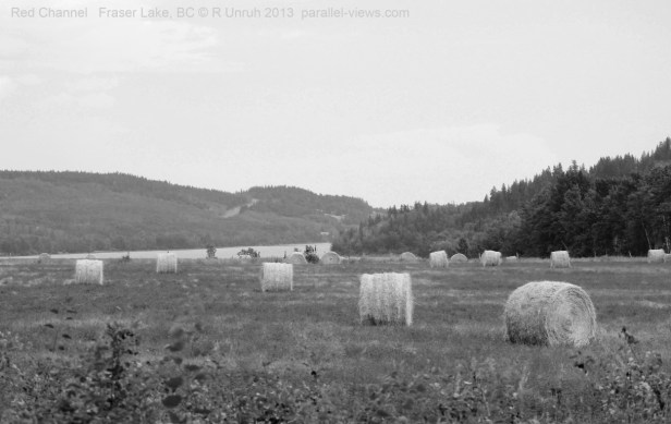 2013 08 12 1355 R IMG_4809