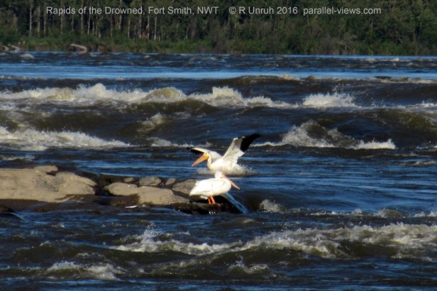 2016 08 18 18;03 R IMG_4601