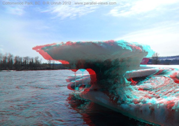 2012 04 01 1057 Cottonwood 4 SAM_0081 AN