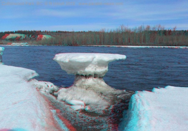 2012 04 01 1058 Cottonwood 3 SAM_0083 an