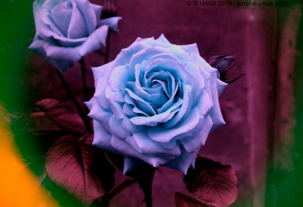 2015 06 03 18;18 _MG_5448