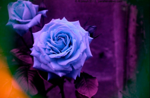 2015 06 03 18;18 _MG_5449 1