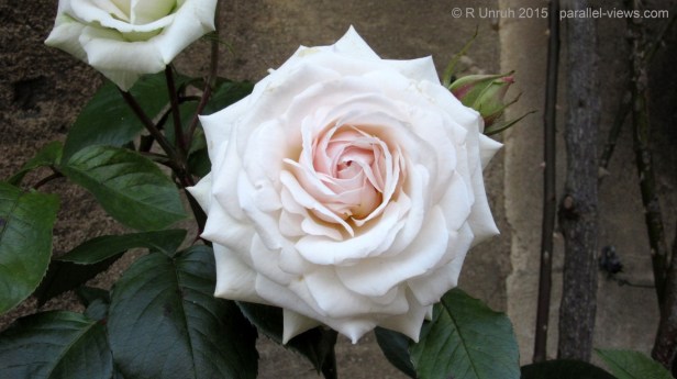 2015 06 03 18;18 R IMG_1446