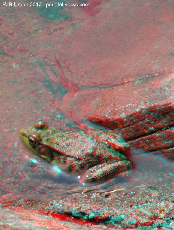 2012 06 09 1253 SAM_0431