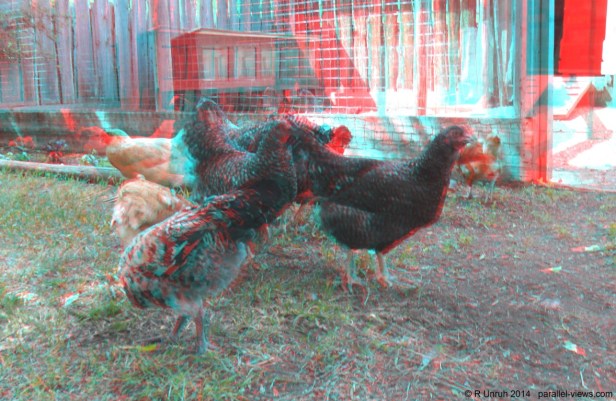 2014 06 08 11;11 SAM_0139