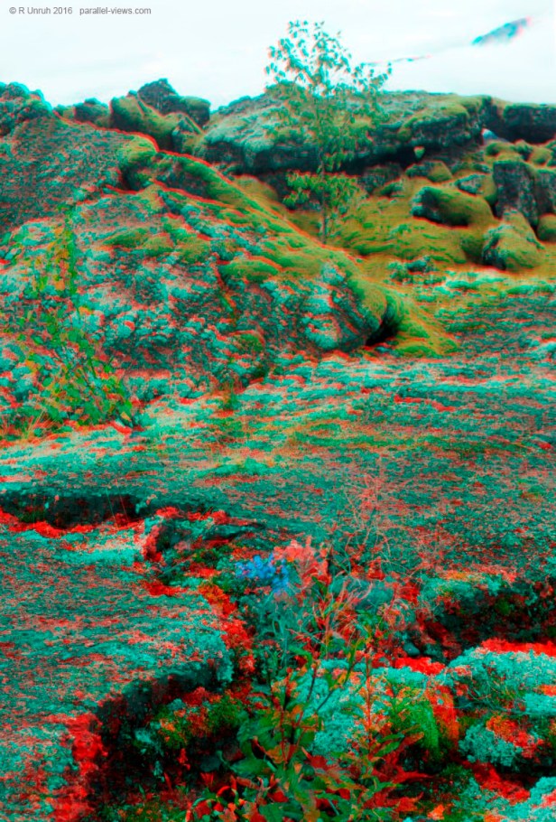 2016 08 30 11;30 FS _MG_7370