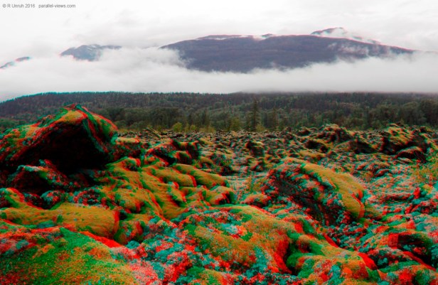 2016 08 30 11;31 FS _MG_7372