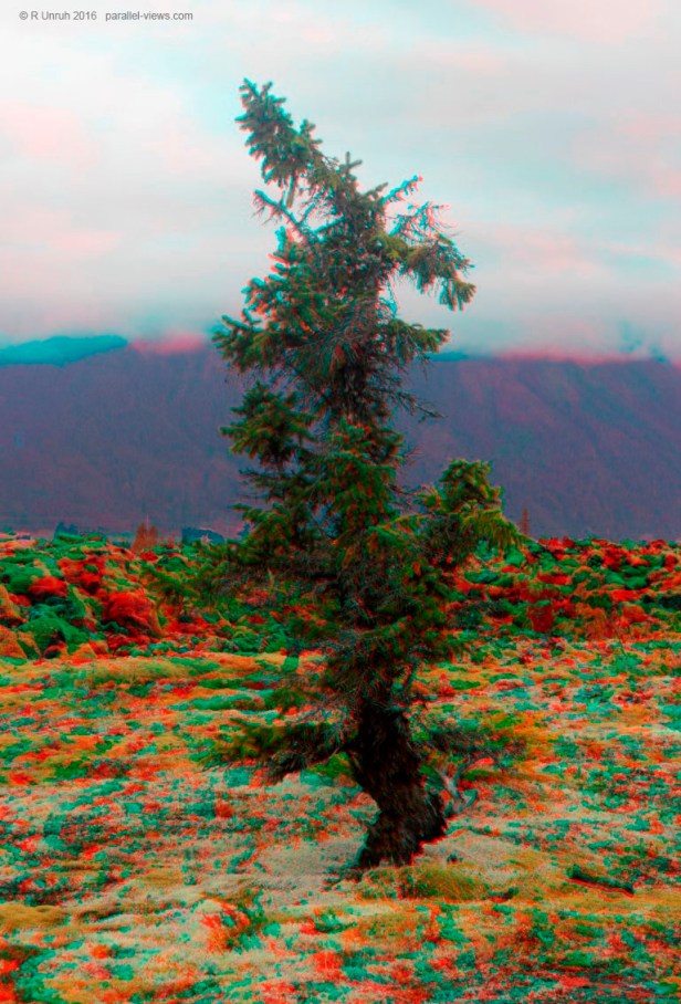 2016 08 30 11;36 FS _MG_7386