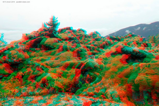 2016 08 30 11;50 FS _MG_7406