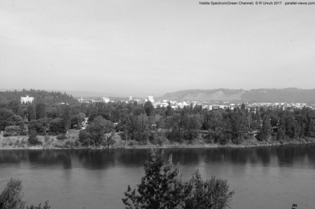 2017 07 11 09;04 _MG_1361 G (Medium)