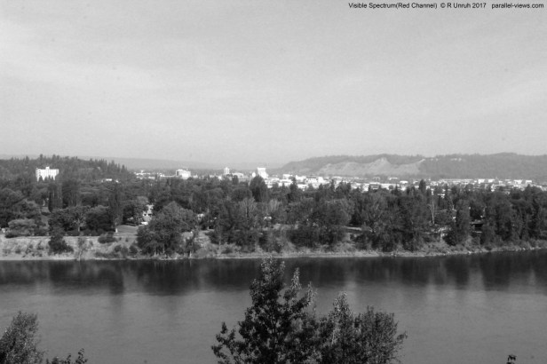 2017 07 11 09;04 _MG_1361 R (Medium)