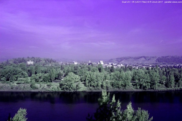 2017 07 11 09;06 _MG_1364 (Medium)