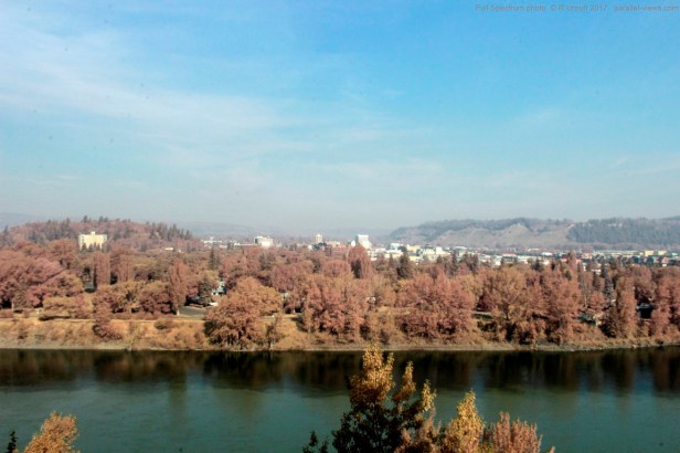 2017 07 11 09;09 _MG_1374 (Medium)