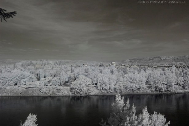 2017 07 11 09;12 _MG_1381 (Medium)