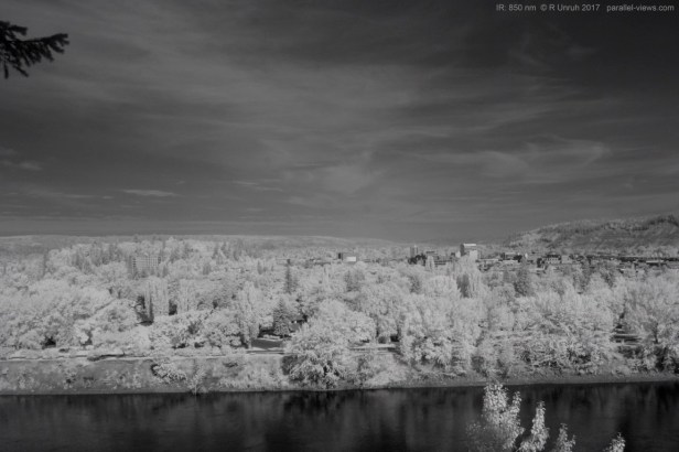 2017 07 11 09;14 _MG_1386 (Medium)