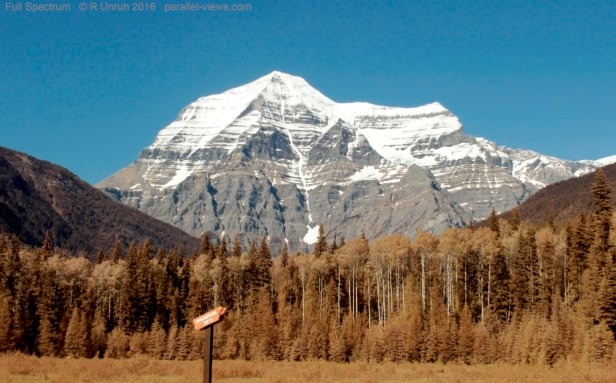 2016 05 23 16;36 _MG_0808