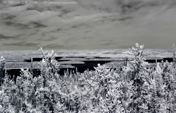 2016 08 23 15;29 FS _MG_4865