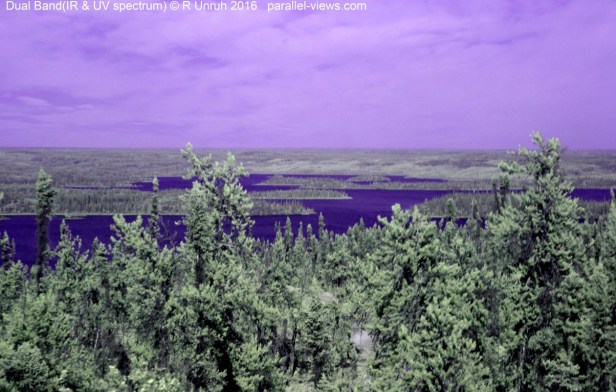 2016 08 23 15;31 FS _MG_4871