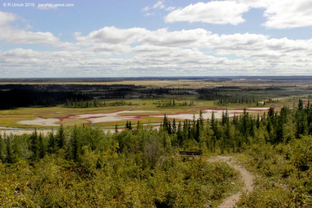 2016 08 18 13;08 FS _MG_3085