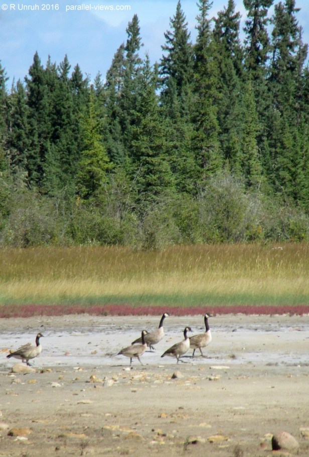 2016 08 18 13;27 R IMG_4514 (Large)