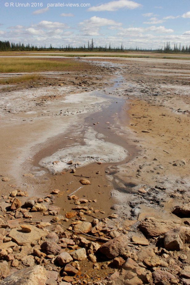 2016 08 18 13;53 FS _MG_3151 (Large)