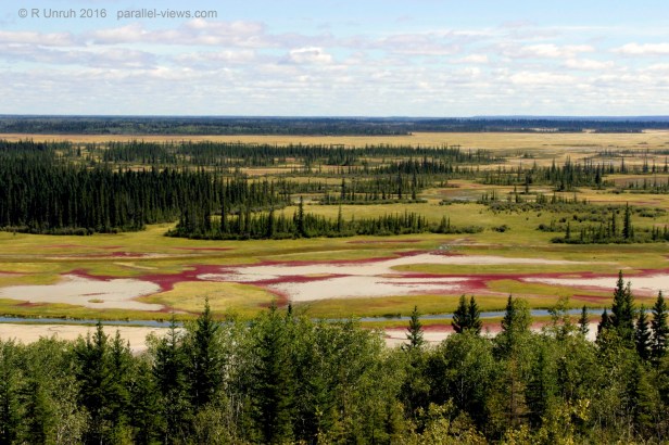 2016 08 18 14;19 FS _MG_3182 - Copy (Large)