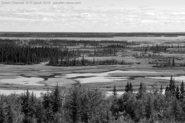 2016 08 18 14;19 FS _MG_3182 green (Large)