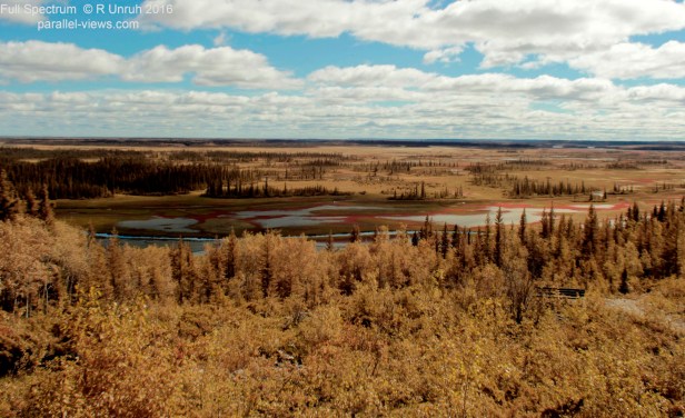 2017 04 16 19;23 L IMG_5769 (Large)