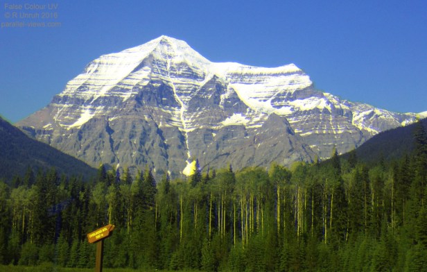 2016 05 23 16;40 uv only comp R IMG_3981