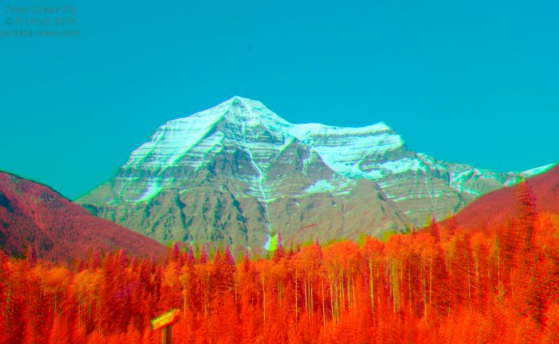 2016 05 23 16;42 _MG_0816 false vis combined