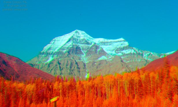 2016 05 23 16;42 _MG_0816 false