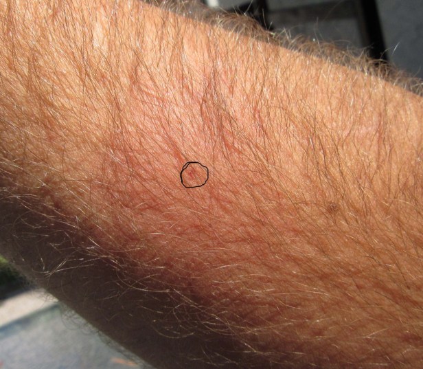 2017 07 30 14;00 L IMG_7074 2