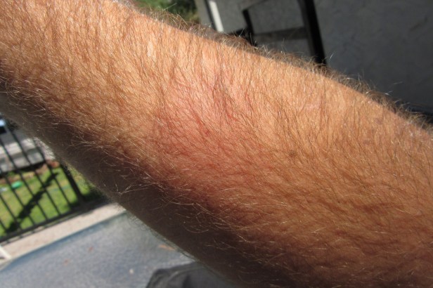 2017 07 30 14;00 L IMG_7074