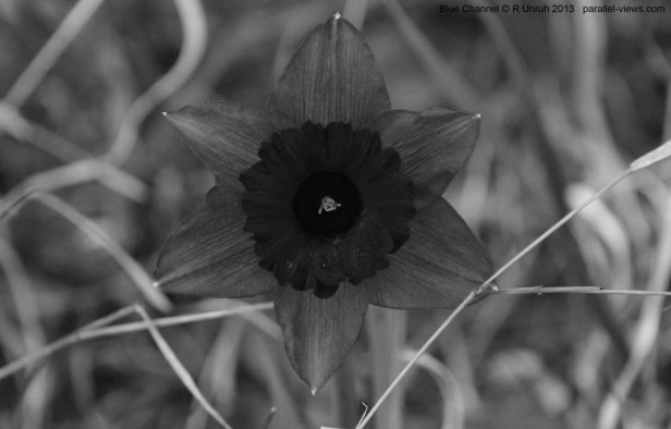 2013 05 03 1635 IMG_3524 B