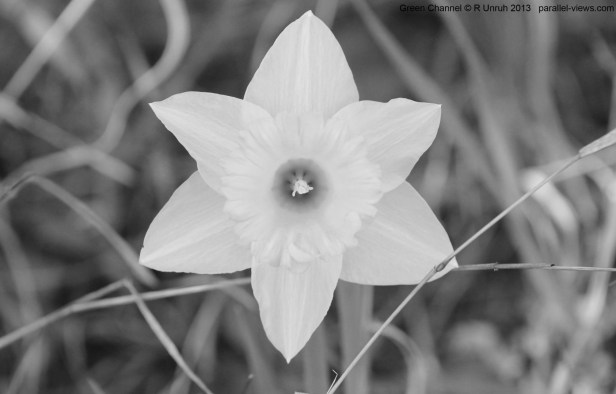 2013 05 03 1635 IMG_3524 G