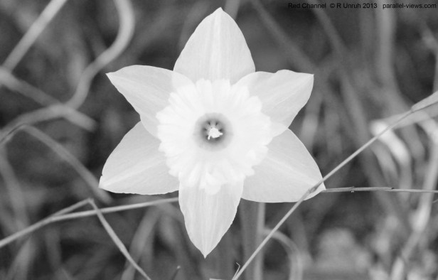 2013 05 03 1635 IMG_3524 R