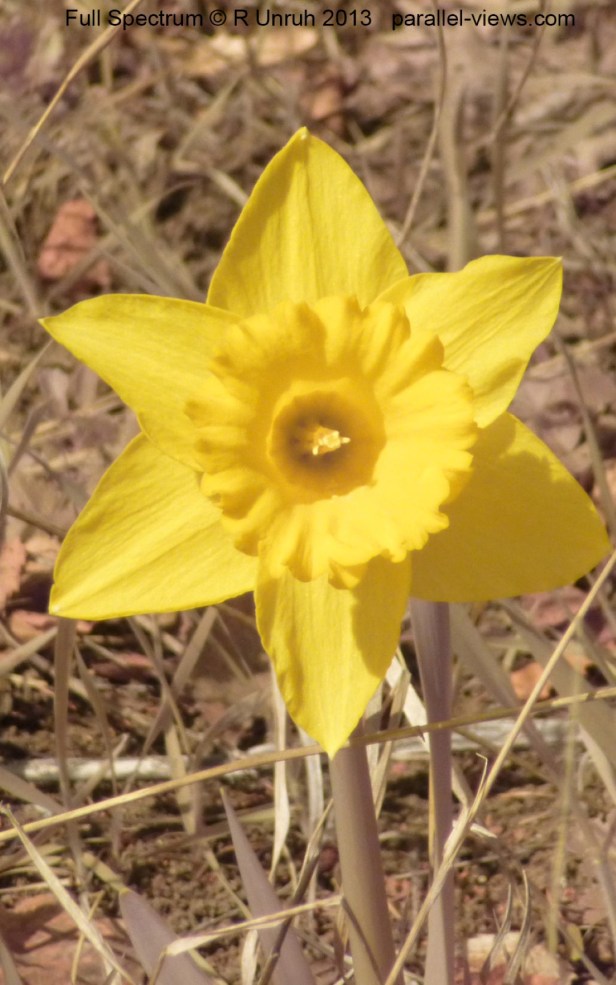 2013 05 04 1313 P1010925 fs