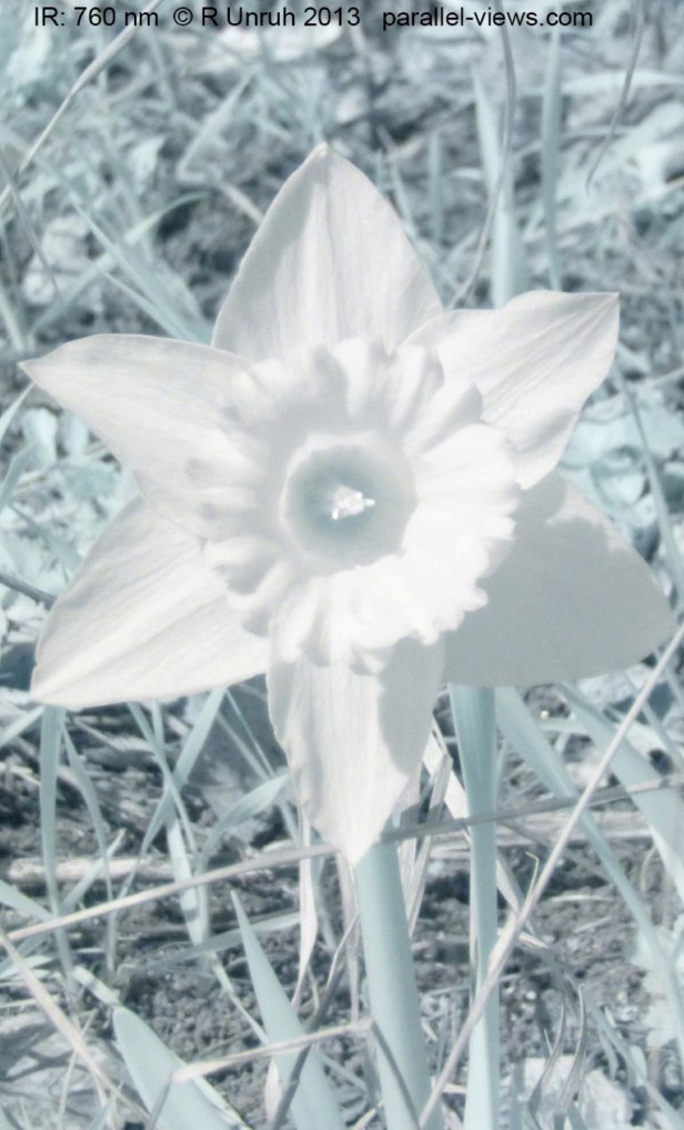 2013 05 04 1313 P1010925