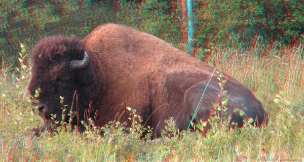 2016 08 17 19;58 L IMG_3928