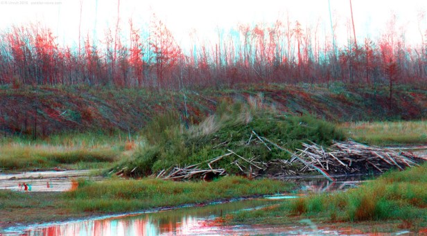 2016 08 19 19;42 R IMG_4764