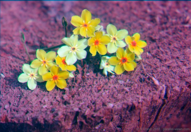 2018 06 03 11;35 False colour